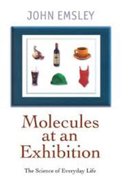 Molecules at an Exhibition : Portraits of Intriguing Materials in Everyday Life, EPUB eBook