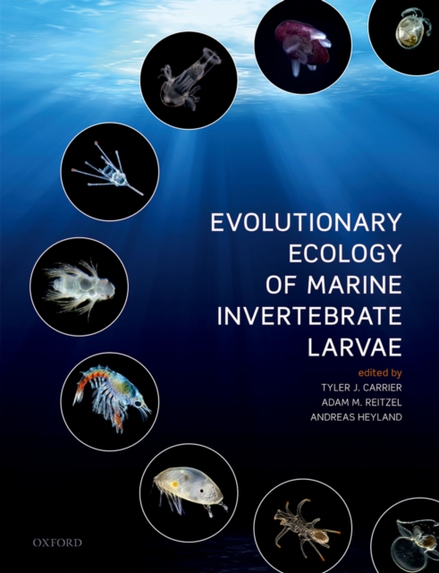 Evolutionary Ecology of Marine Invertebrate Larvae, PDF eBook