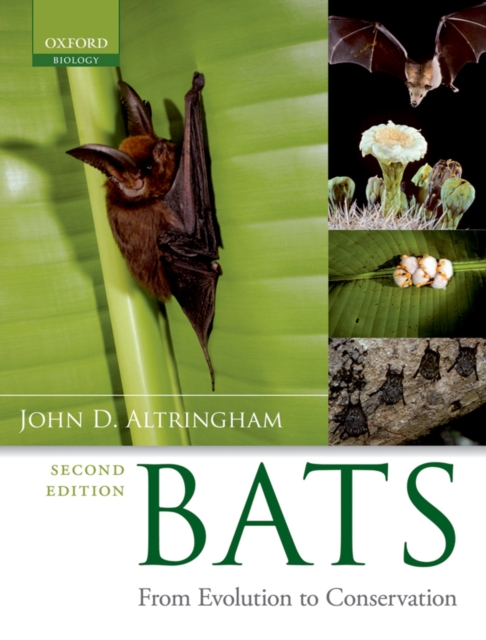Bats : From Evolution to Conservation, PDF eBook