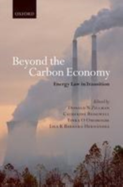 Beyond the Carbon Economy, PDF eBook