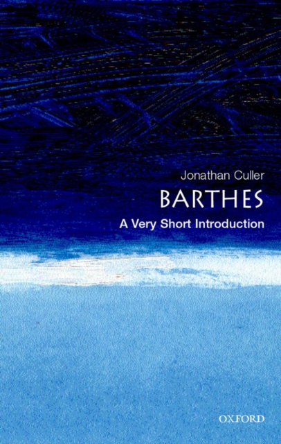 Barthes: A Very Short Introduction, EPUB eBook
