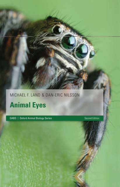 Animal Eyes, EPUB eBook