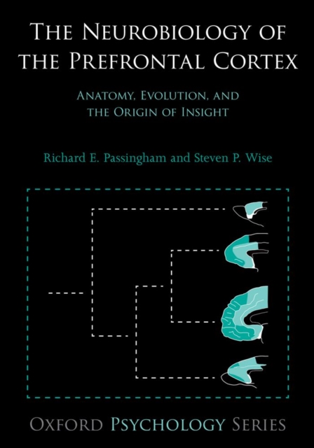 The Neurobiology of the Prefrontal Cortex : Anatomy, Evolution, and the Origin of Insight, EPUB eBook