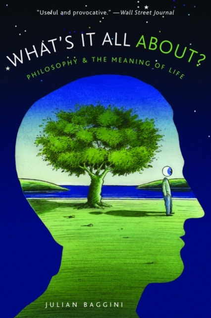 What's It All About? : Philosophy and the Meaning of Life, Paperback / softback Book