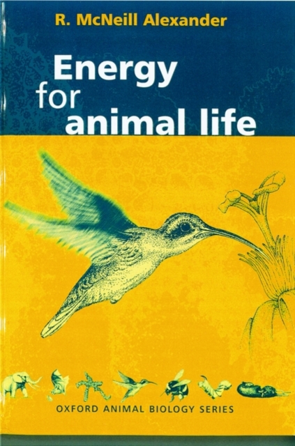 Energy for Animal Life, Paperback / softback Book