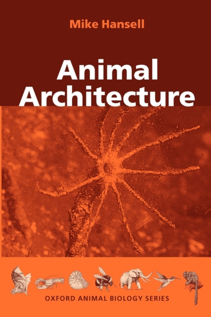Animal Architecture, Paperback / softback Book