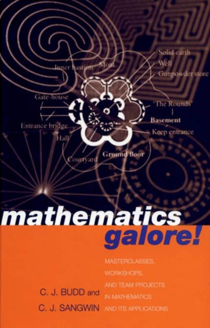 Mathematics Galore! : Masterclasses, Workshops and Team Projects in Mathematics and its Applications, Hardback Book