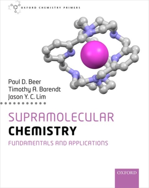 Supramolecular Chemistry : Fundamentals and Applications, Paperback / softback Book