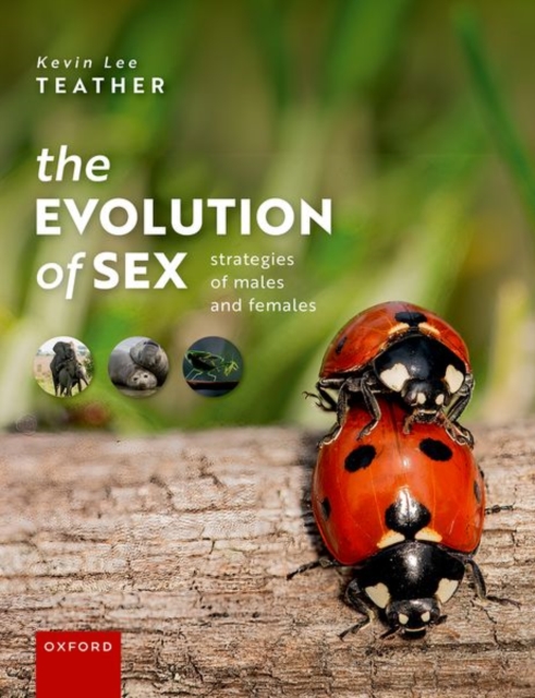 The Evolution of Sex : Strategies of Males and Females, Hardback Book