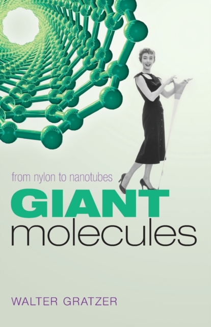 Giant Molecules : From nylon to nanotubes, Paperback / softback Book
