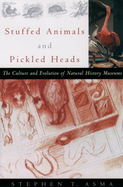 Stuffed Animals and Pickled Heads : The Culture and Evolution of Natural History Museums, EPUB eBook