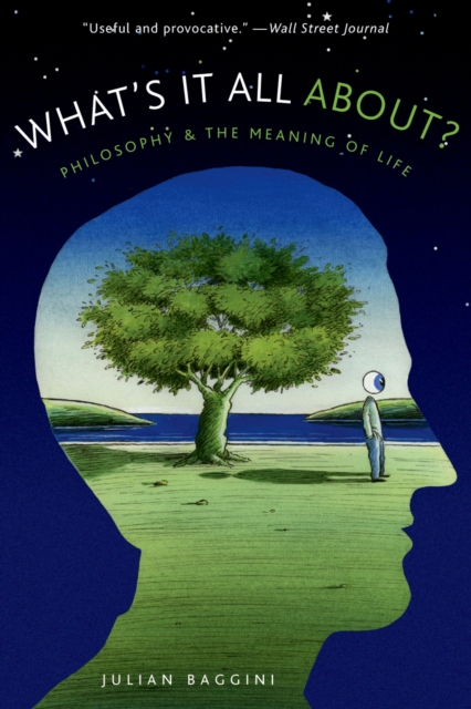 What's It All About? : Philosophy and the Meaning of Life, EPUB eBook