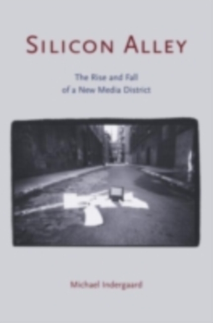 Silicon Alley : The Rise and Fall of a New Media District, PDF eBook