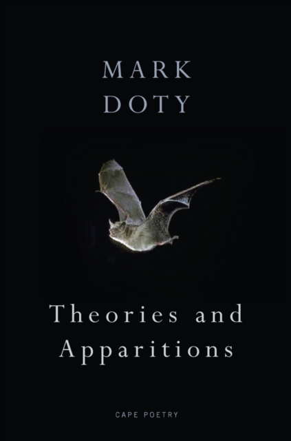 Theories and Apparitions, Paperback / softback Book