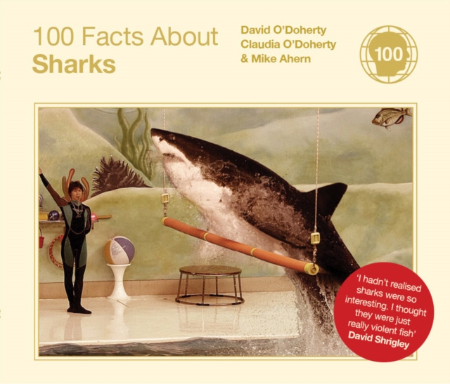100 Facts About Sharks, Hardback Book