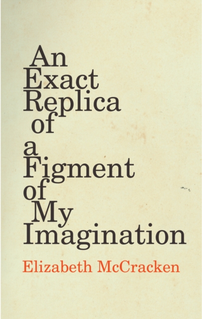 An Exact Replica of a Figment of My Imagination, Hardback Book