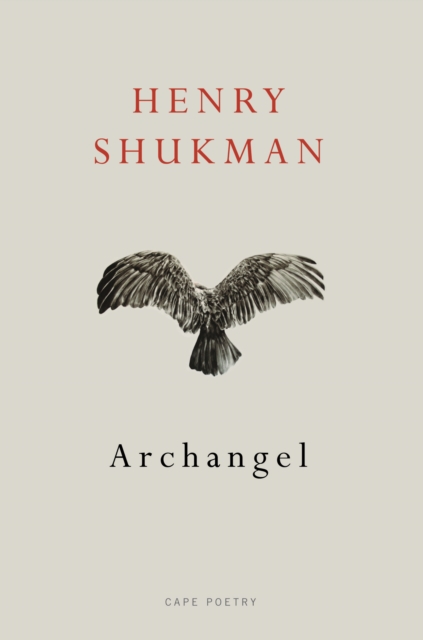 Archangel, Paperback / softback Book