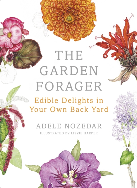 The Garden Forager : Edible Delights in Your Own Back Yard, Hardback Book
