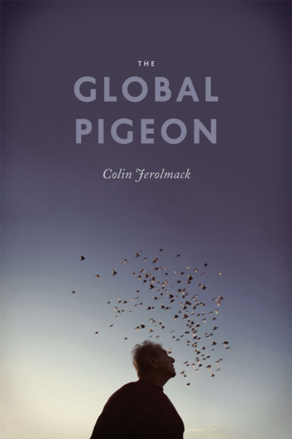 The Global Pigeon, Hardback Book
