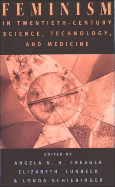 Feminism in Twentieth-Century Science, Technology, and Medicine, Paperback / softback Book