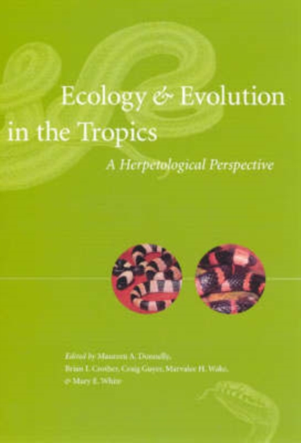 Ecology and Evolution in the Tropics : A Herpetological Perspective, Paperback / softback Book