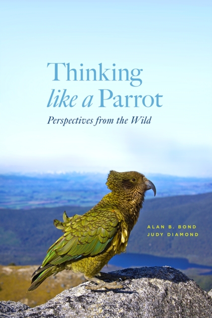 Thinking Like a Parrot : Perspectives from the Wild, Hardback Book