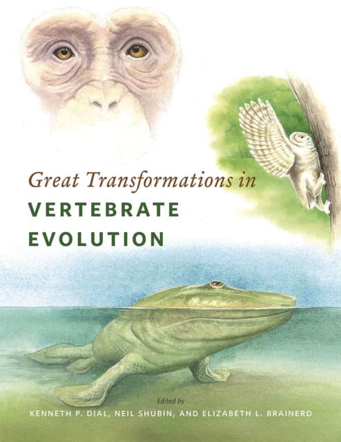 Great Transformations in Vertebrate Evolution, Paperback / softback Book