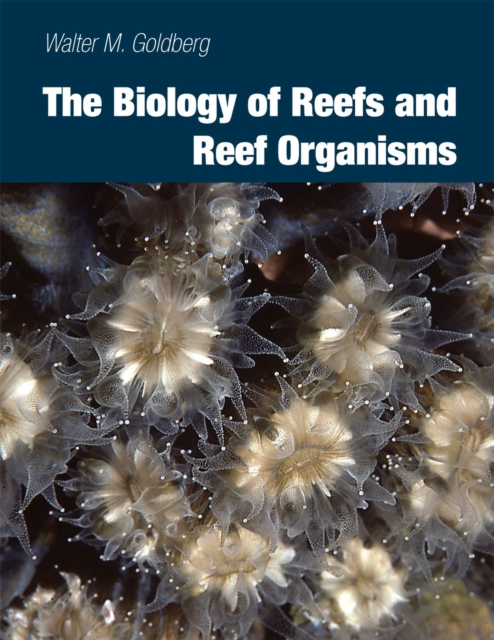 The Biology of Reefs and Reef Organisms, Paperback / softback Book