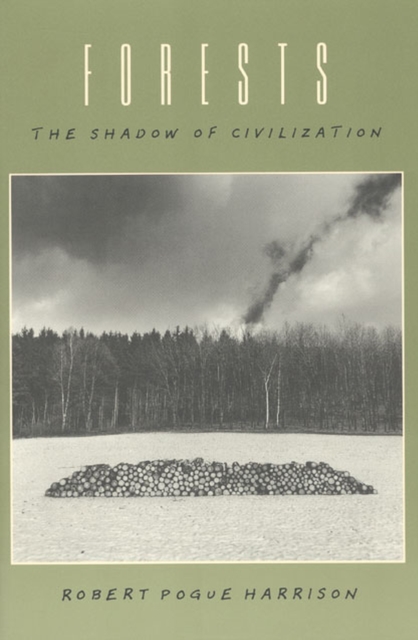 Forests : The Shadow of Civilization, Paperback / softback Book