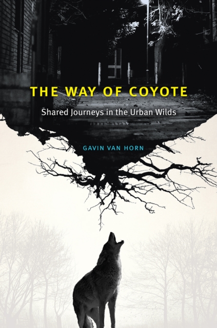 The Way of Coyote : Shared Journeys in the Urban Wilds, Hardback Book