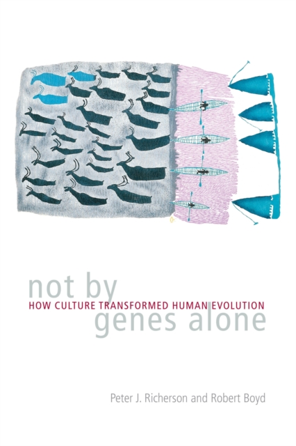 Not by Genes Alone : How Culture Transformed Human Evolution, Paperback / softback Book