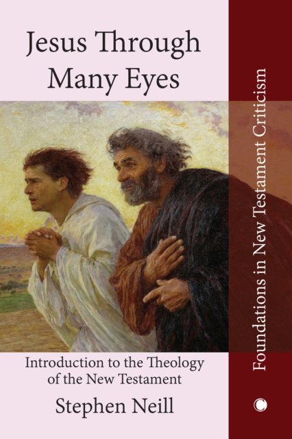 Jesus Through Many Eyes : Introduction to the Theology of the New Testament, PDF eBook