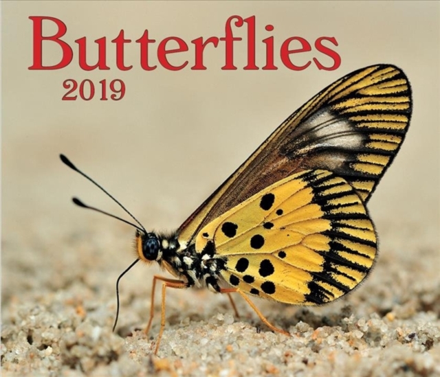 Butterflies 2019, Calendar Book