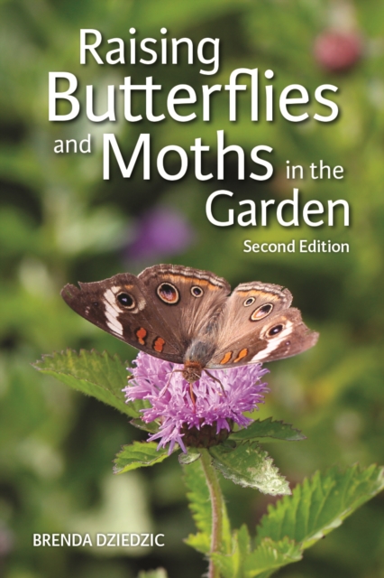 Raising Butterflies and Moths in the Garden, Paperback / softback Book