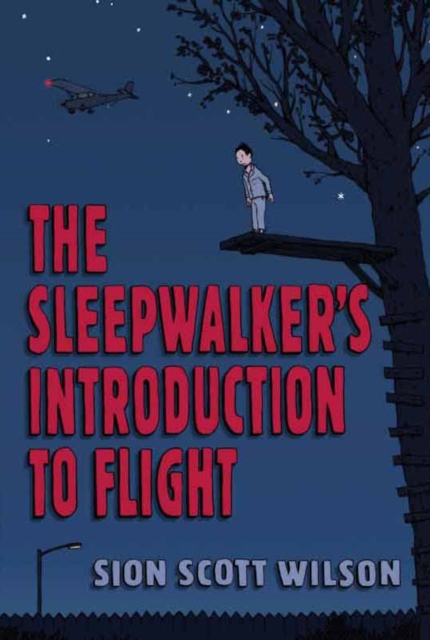 Sleepwalker's Introduction to Flight, Hardback Book