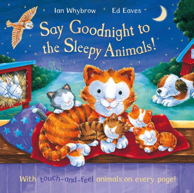 Say Goodnight to the Sleepy Animals, Board book Book