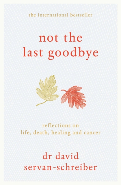 Not the Last Goodbye : Reflections on life, death, healing and cancer, EPUB eBook