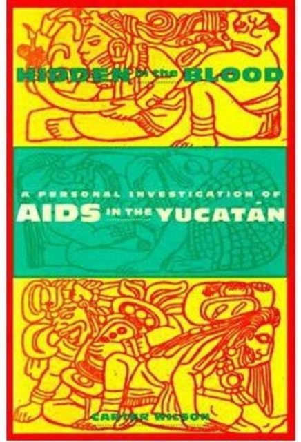 Hidden in the Blood : A Personal Investigation of AIDS in the Yucatan, Hardback Book