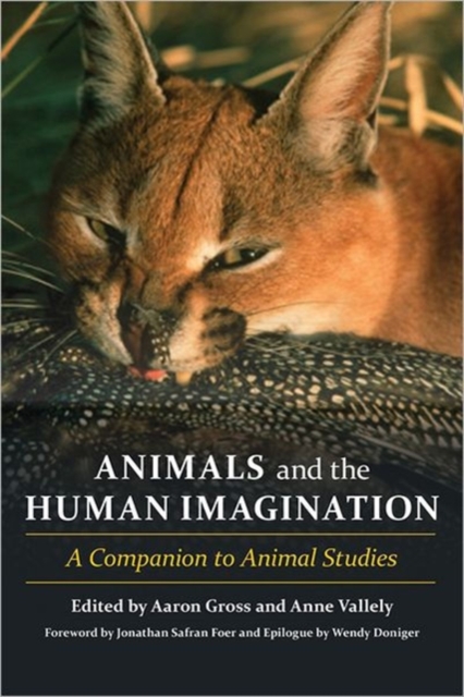 Animals and the Human Imagination : A Companion to Animal Studies, Hardback Book
