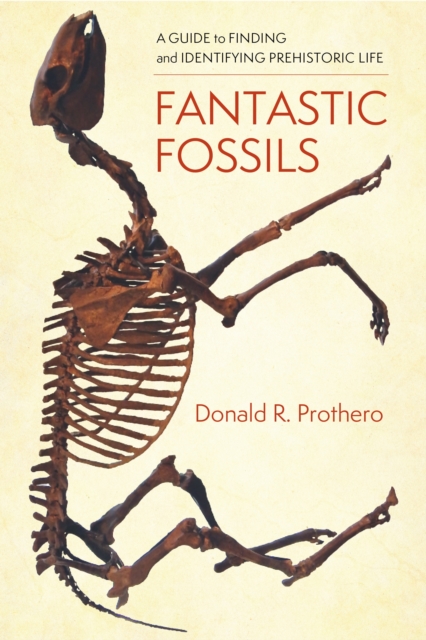 Fantastic Fossils : A Guide to Finding and Identifying Prehistoric Life, Hardback Book