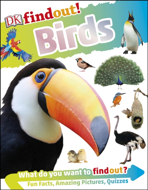 DKfindout! Birds, EPUB eBook