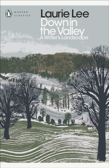 Down in the Valley : A Writer's Landscape, Paperback / softback Book
