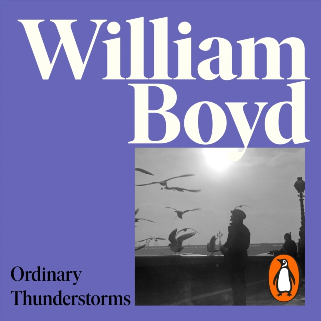 Ordinary Thunderstorms, eAudiobook MP3 eaudioBook