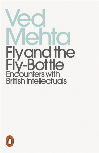 Fly and the Fly-Bottle, EPUB eBook