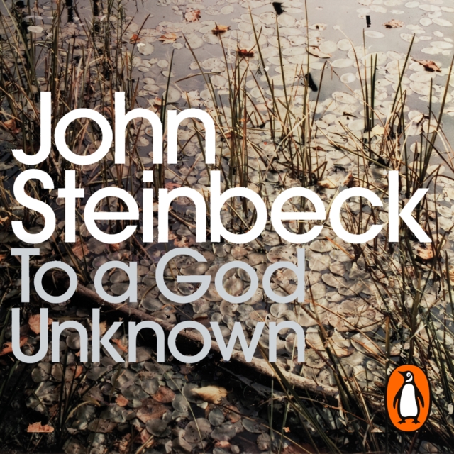 To a God Unknown, eAudiobook MP3 eaudioBook
