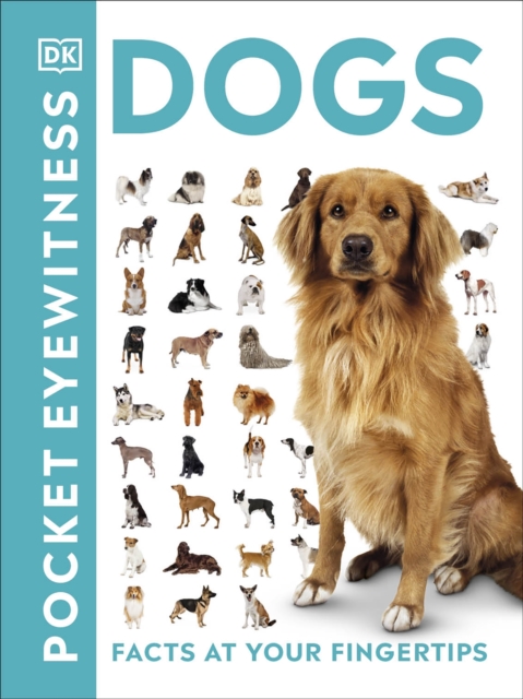 Pocket Eyewitness Dogs : Facts at Your Fingertips, EPUB eBook