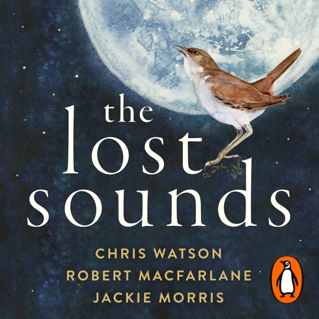 The Lost Sounds, eAudiobook MP3 eaudioBook
