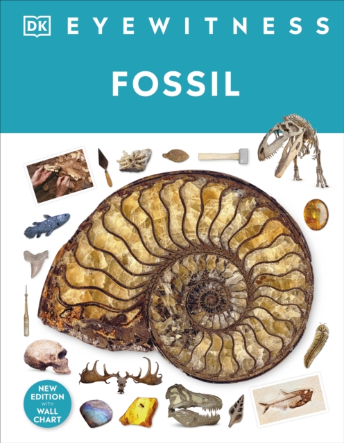 Fossil, Hardback Book