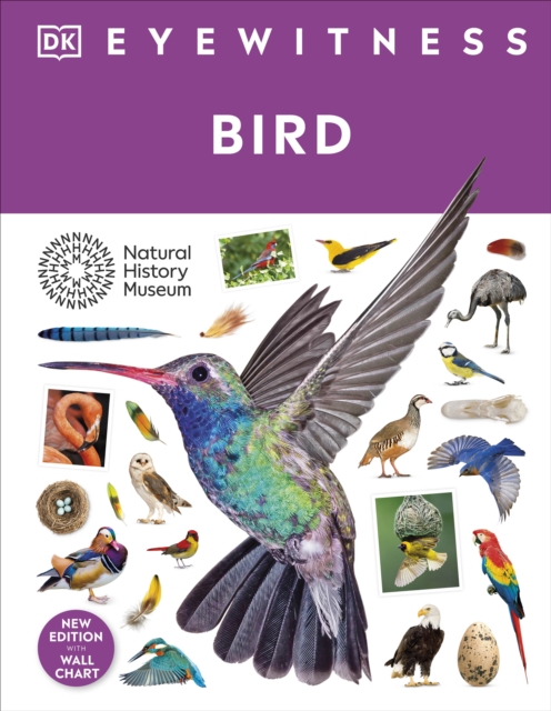 Bird, Hardback Book