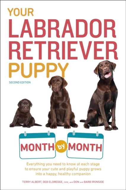 Your Labrador Retriever Puppy Month by Month, 2nd Edition : Everything You Need to Know at Each Stage of Development, EPUB eBook